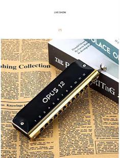 Easttop Opus 12 hole chromatic harmonica news