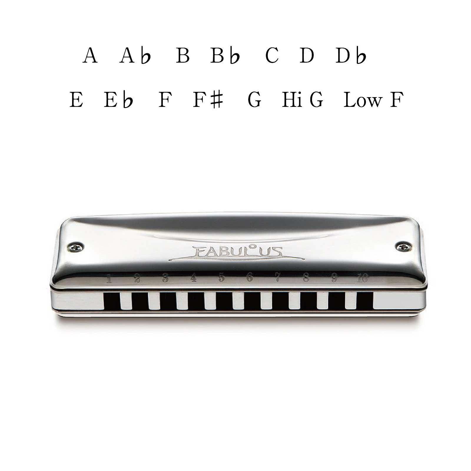 Diatonic Harmonicas at melissarbrown blog