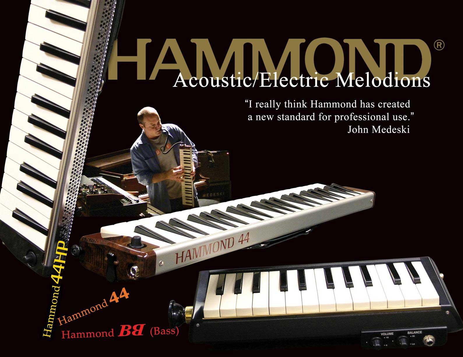 Suzuki hammond melodion